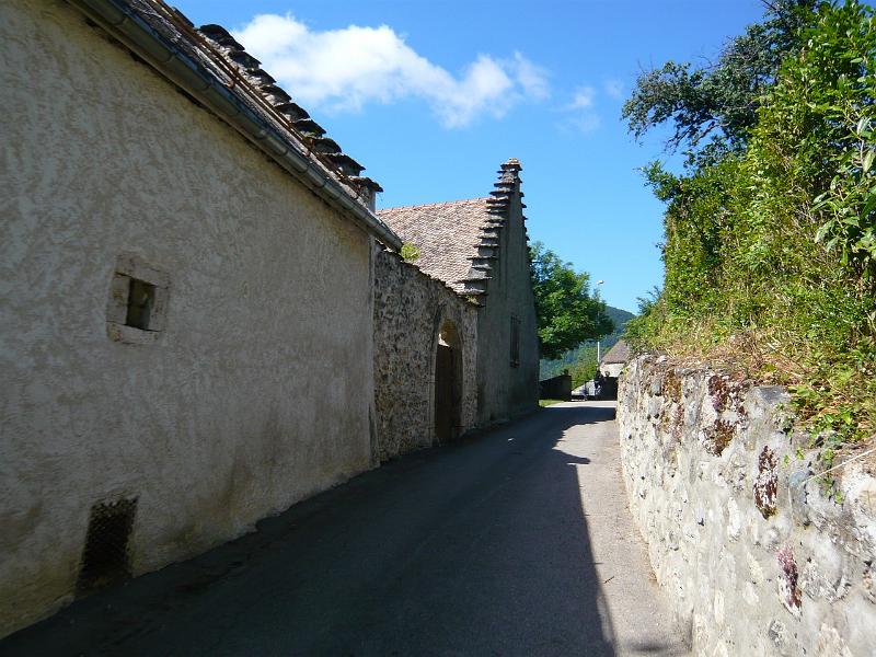 trieve (56).JPG